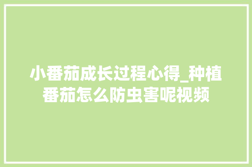 小番茄成长过程心得_种植番茄怎么防虫害呢视频 小番茄成长过程心得_种植番茄怎么防虫害呢视频 番茄病虫害防治