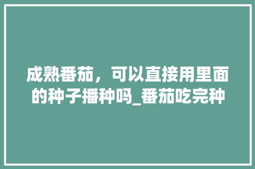成熟番茄，可以直接用里面的种子播种吗_番茄吃完种子怎么种植呢 成熟番茄，可以直接用里面的种子播种吗_番茄吃完种子怎么种植呢 种植技巧