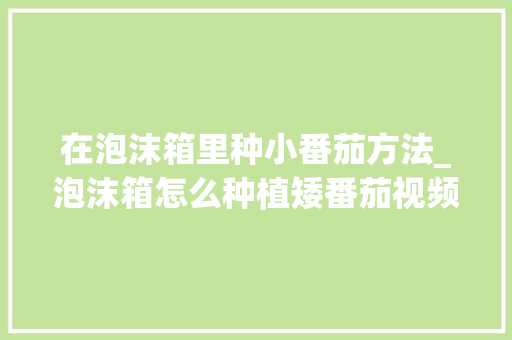 在泡沫箱里种小番茄方法_泡沫箱怎么种植矮番茄视频