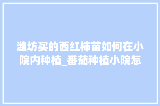 潍坊买的西红柿苗如何在小院内种植_番茄种植小院怎么种植 潍坊买的西红柿苗如何在小院内种植_番茄种植小院怎么种植 番茄病虫害防治