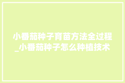 小番茄种子育苗方法全过程_小番茄种子怎么种植技术视频 植物种类 小番茄种子育苗方法全过程_小番茄种子怎么种植技术视频 小番茄种子育苗方法全过程_小番茄种子怎么种植技术视频 植物种类