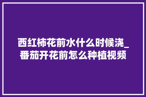 西红柿花前水什么时候浇_番茄开花前怎么种植视频 西红柿花前水什么时候浇_番茄开花前怎么种植视频 土壤施肥
