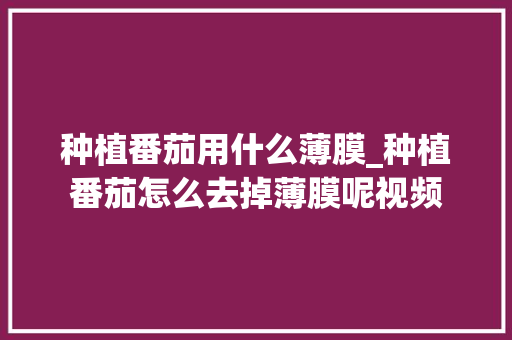 种植番茄用什么薄膜_种植番茄怎么去掉薄膜呢视频 种植番茄用什么薄膜_种植番茄怎么去掉薄膜呢视频 种植技巧