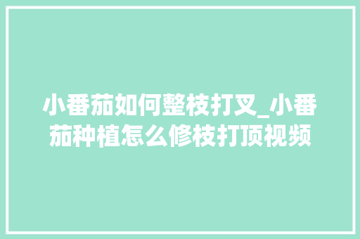 小番茄如何整枝打叉_小番茄种植怎么修枝打顶视频 小番茄如何整枝打叉_小番茄种植怎么修枝打顶视频 土壤施肥