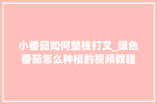 小番茄如何整枝打叉_绿色番茄怎么种植的视频教程 番茄病虫害防治 小番茄如何整枝打叉_绿色番茄怎么种植的视频教程 小番茄如何整枝打叉_绿色番茄怎么种植的视频教程 番茄病虫害防治