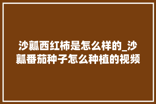 沙瓤西红柿是怎么样的_沙瓤番茄种子怎么种植的视频