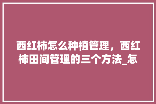 西红柿怎么种植管理，西红柿田间管理的三个方法_怎么管理番茄田种植呢 西红柿怎么种植管理，西红柿田间管理的三个方法_怎么管理番茄田种植呢 番茄病虫害防治