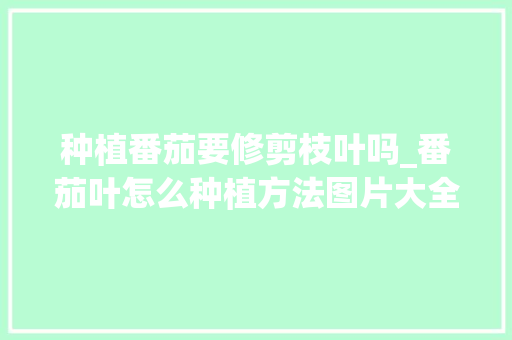 种植番茄要修剪枝叶吗_番茄叶怎么种植方法图片大全 种植番茄要修剪枝叶吗_番茄叶怎么种植方法图片大全 植物种类