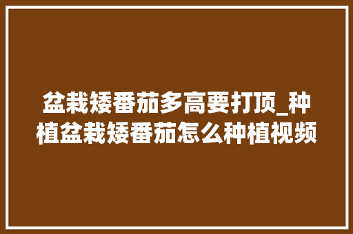 盆栽矮番茄多高要打顶_种植盆栽矮番茄怎么种植视频 盆栽矮番茄多高要打顶_种植盆栽矮番茄怎么种植视频 植物种类