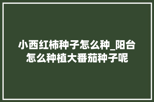 小西红柿种子怎么种_阳台怎么种植大番茄种子呢 小西红柿种子怎么种_阳台怎么种植大番茄种子呢 农业常识