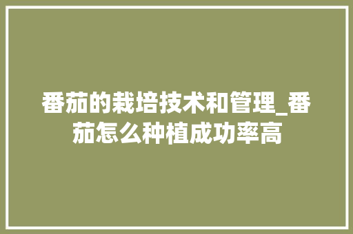 番茄的栽培技术和管理_番茄怎么种植成功率高
