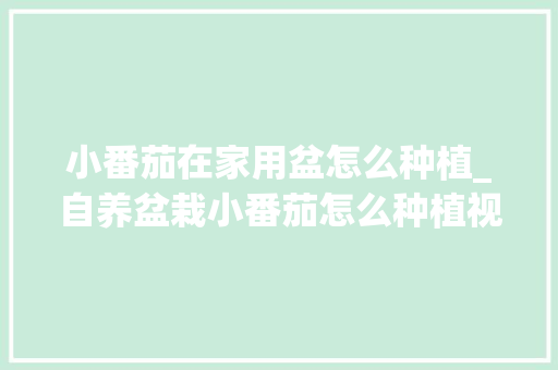 小番茄在家用盆怎么种植_自养盆栽小番茄怎么种植视频 小番茄在家用盆怎么种植_自养盆栽小番茄怎么种植视频 植物种类