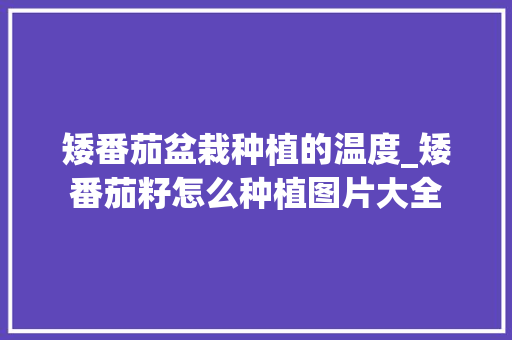矮番茄盆栽种植的温度_矮番茄籽怎么种植图片大全 矮番茄盆栽种植的温度_矮番茄籽怎么种植图片大全 农业常识