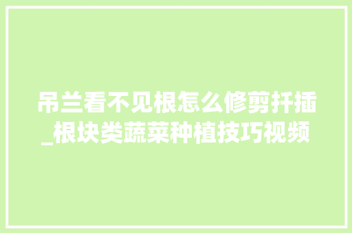 吊兰看不见根怎么修剪扦插_根块类蔬菜种植技巧视频教程