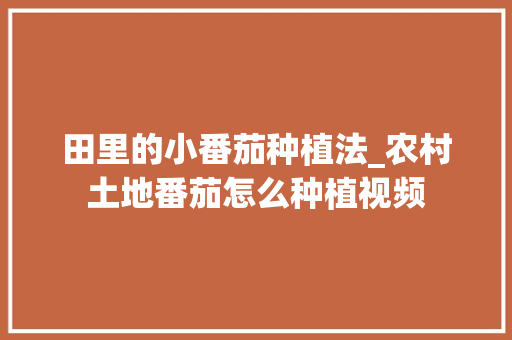 田里的小番茄种植法_农村土地番茄怎么种植视频 田里的小番茄种植法_农村土地番茄怎么种植视频 植物种类