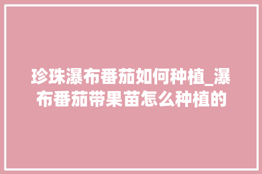 珍珠瀑布番茄如何种植_瀑布番茄带果苗怎么种植的 珍珠瀑布番茄如何种植_瀑布番茄带果苗怎么种植的 植物种类