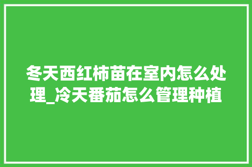 冬天西红柿苗在室内怎么处理_冷天番茄怎么管理种植呢 种植技巧 冬天西红柿苗在室内怎么处理_冷天番茄怎么管理种植呢 冬天西红柿苗在室内怎么处理_冷天番茄怎么管理种植呢 种植技巧