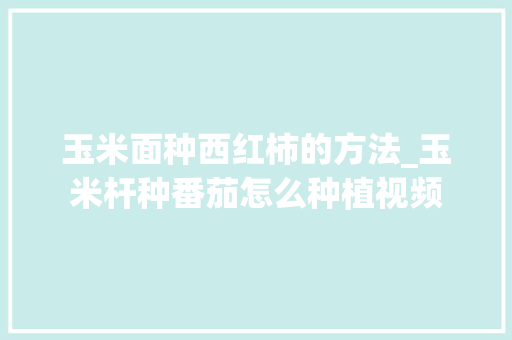玉米面种西红柿的方法_玉米杆种番茄怎么种植视频