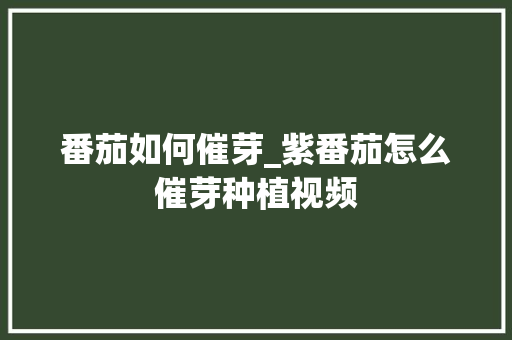 番茄如何催芽_紫番茄怎么催芽种植视频 番茄如何催芽_紫番茄怎么催芽种植视频 种植技巧