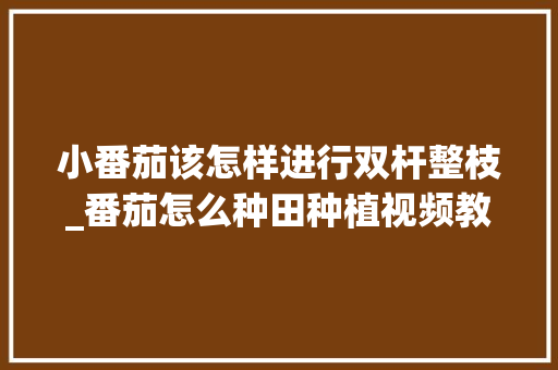 小番茄该怎样进行双杆整枝_番茄怎么种田种植视频教程 小番茄该怎样进行双杆整枝_番茄怎么种田种植视频教程 土壤施肥