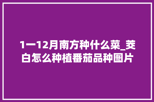 1一12月南方种什么菜_茭白怎么种植番茄品种图片