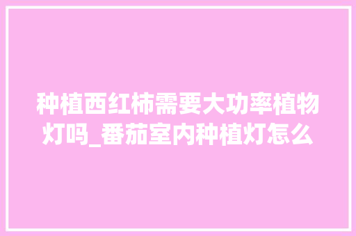 种植西红柿需要大功率植物灯吗_番茄室内种植灯怎么选择好 土壤施肥 种植西红柿需要大功率植物灯吗_番茄室内种植灯怎么选择好 种植西红柿需要大功率植物灯吗_番茄室内种植灯怎么选择好 土壤施肥