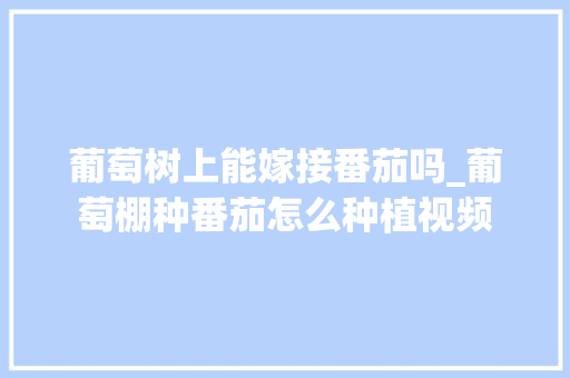 葡萄树上能嫁接番茄吗_葡萄棚种番茄怎么种植视频 葡萄树上能嫁接番茄吗_葡萄棚种番茄怎么种植视频 农业常识