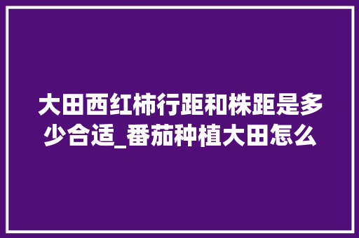 大田西红柿行距和株距是多少合适_番茄种植大田怎么种植