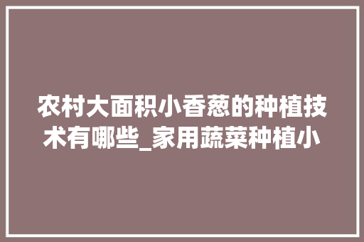 农村大面积小香葱的种植技术有哪些_家用蔬菜种植小技巧视频教程 农村大面积小香葱的种植技术有哪些_家用蔬菜种植小技巧视频教程 番茄病虫害防治