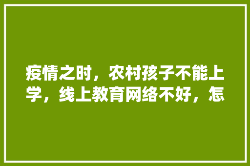 疫情之时，农村孩子不能上学，线上教育网络不好，怎么办_番茄种植基地回访怎么写文案