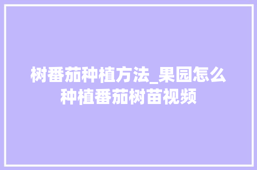 树番茄种植方法_果园怎么种植番茄树苗视频 树番茄种植方法_果园怎么种植番茄树苗视频 土壤施肥