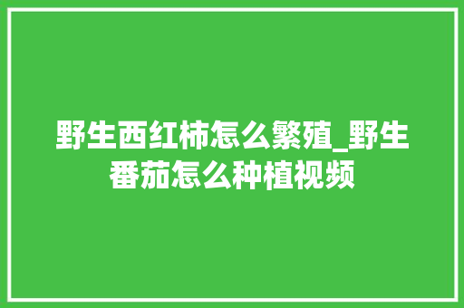 野生西红柿怎么繁殖_野生番茄怎么种植视频 野生西红柿怎么繁殖_野生番茄怎么种植视频 土壤施肥