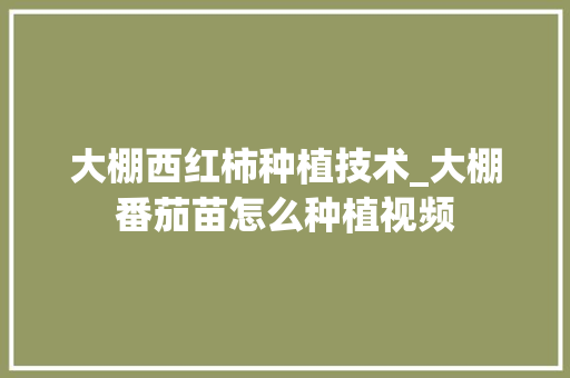 大棚西红柿种植技术_大棚番茄苗怎么种植视频 大棚西红柿种植技术_大棚番茄苗怎么种植视频 植物种类