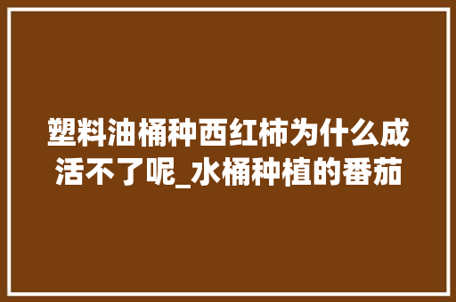 塑料油桶种西红柿为什么成活不了呢_水桶种植的番茄怎么种植 塑料油桶种西红柿为什么成活不了呢_水桶种植的番茄怎么种植 花朵知识