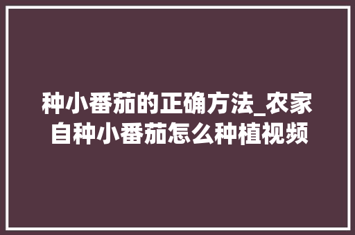种小番茄的正确方法_农家自种小番茄怎么种植视频 种小番茄的正确方法_农家自种小番茄怎么种植视频 土壤施肥