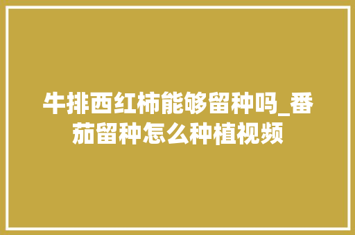 牛排西红柿能够留种吗_番茄留种怎么种植视频 植物种类 牛排西红柿能够留种吗_番茄留种怎么种植视频 牛排西红柿能够留种吗_番茄留种怎么种植视频 植物种类