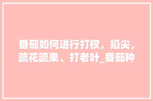 番茄如何进行打杈，掐尖，疏花疏果、打老叶_番茄种植怎么掐尖视频 番茄如何进行打杈，掐尖，疏花疏果、打老叶_番茄种植怎么掐尖视频 种植技巧