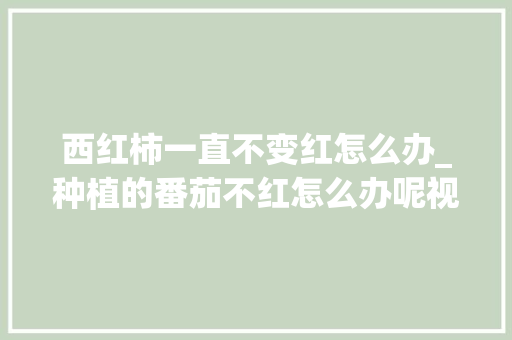 西红柿一直不变红怎么办_种植的番茄不红怎么办呢视频 西红柿一直不变红怎么办_种植的番茄不红怎么办呢视频 番茄种植技巧