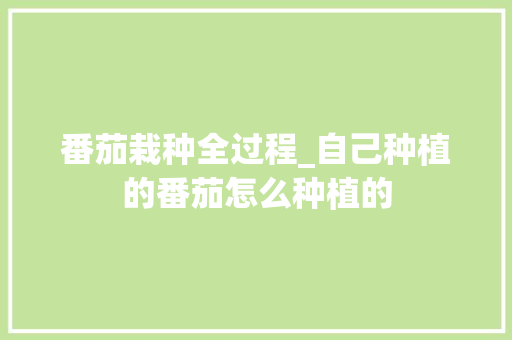 番茄栽种全过程_自己种植的番茄怎么种植的 番茄栽种全过程_自己种植的番茄怎么种植的 花朵知识