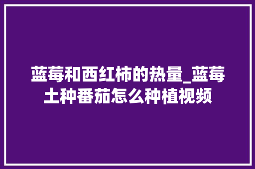 蓝莓和西红柿的热量_蓝莓土种番茄怎么种植视频