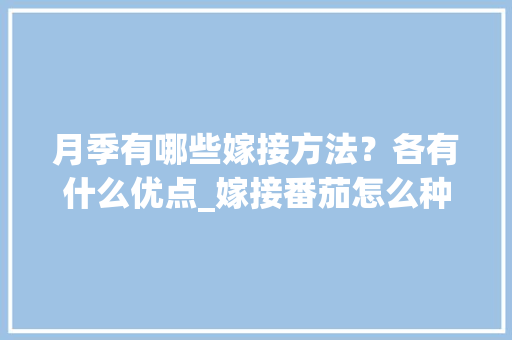 月季有哪些嫁接方法？各有什么优点_嫁接番茄怎么种植的视频教程