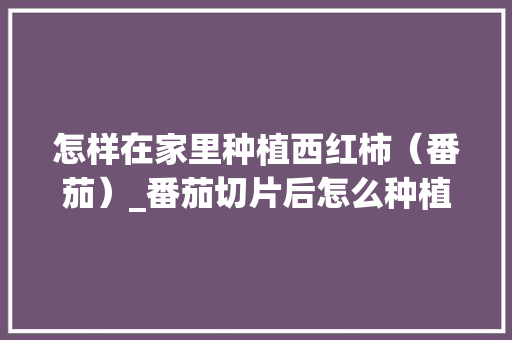 怎样在家里种植西红柿(番茄)_番茄切片后怎么种植视频 植物种类 怎样在家里种植西红柿(番茄)_番茄切片后怎么种植视频 怎样在家里种植西红柿(番茄)_番茄切片后怎么种植视频 植物种类