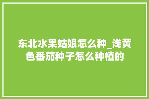 东北水果姑娘怎么种_浅黄色番茄种子怎么种植的 东北水果姑娘怎么种_浅黄色番茄种子怎么种植的 种植技巧