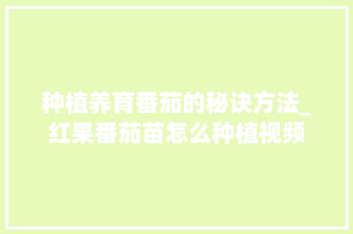 种植养育番茄的秘诀方法_红果番茄苗怎么种植视频 种植养育番茄的秘诀方法_红果番茄苗怎么种植视频 花朵知识