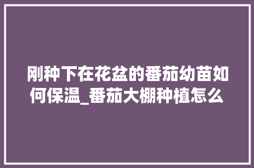 刚种下在花盆的番茄幼苗如何保温_番茄大棚种植怎么加热好 刚种下在花盆的番茄幼苗如何保温_番茄大棚种植怎么加热好 番茄种植技巧