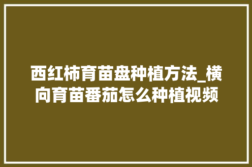 西红柿育苗盘种植方法_横向育苗番茄怎么种植视频 西红柿育苗盘种植方法_横向育苗番茄怎么种植视频 番茄种植技巧