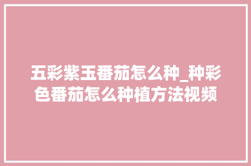 五彩紫玉番茄怎么种_种彩色番茄怎么种植方法视频 五彩紫玉番茄怎么种_种彩色番茄怎么种植方法视频 种植技巧
