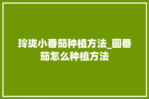玲珑小番茄种植方法_圆番茄怎么种植方法 玲珑小番茄种植方法_圆番茄怎么种植方法 植物种类
