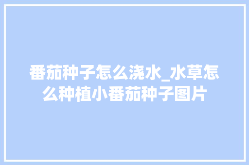 番茄种子怎么浇水_水草怎么种植小番茄种子图片