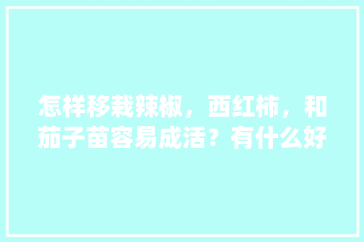 怎样移栽辣椒，西红柿，和茄子苗容易成活？有什么好的方法介绍一下_茄子辣椒番茄苗怎么种植视频 怎样移栽辣椒，西红柿，和茄子苗容易成活？有什么好的方法介绍一下_茄子辣椒番茄苗怎么种植视频 土壤施肥
